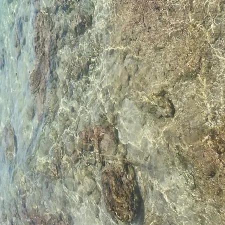 Vacanze